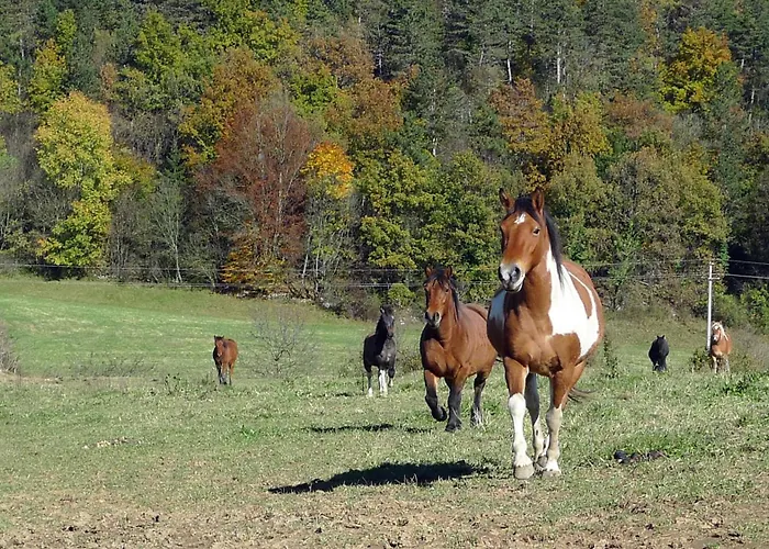 Spelca Bed and Breakfast Pivka