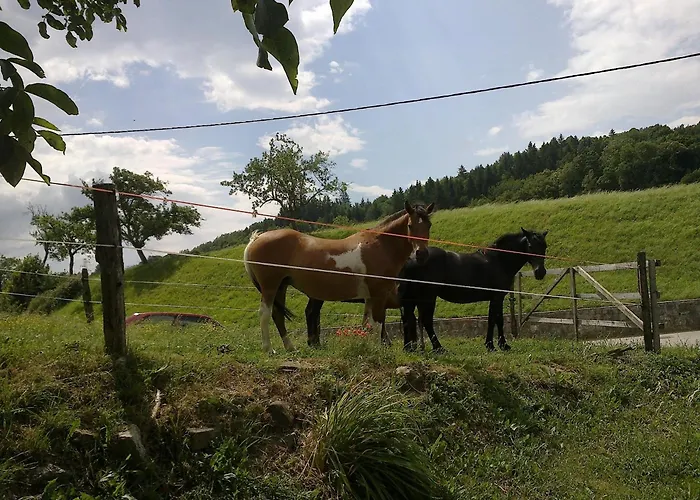 Spelca Bed and Breakfast Pivka